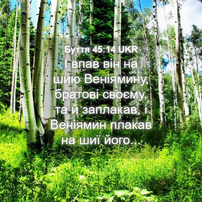 Picture 04 - Буття 45:14 UKR - І впав він на шию - Bible Verse Picture