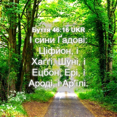 Picture 04 - Буття 46:16 UKR - І сини Ґадові: Ціфйон, і - Bible Verse Picture