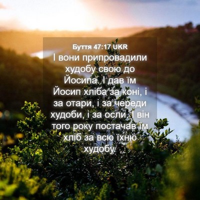 Picture 04 - Буття 47:17 UKR - І вони припровадили худобу - Bible Verse Picture