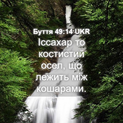 Picture 04 - Буття 49:14 UKR - Іссахар то костистий осел, - Bible Verse Picture