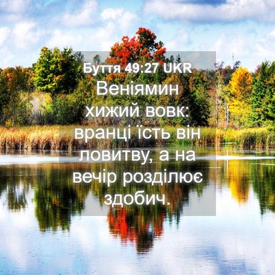 Picture 04 - Буття 49:27 UKR - Веніямин хижий вовк: - Bible Verse Picture
