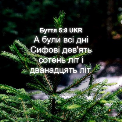 Picture 04 - Буття 5:8 UKR - А були всі дні Сифові - Bible Verse Picture