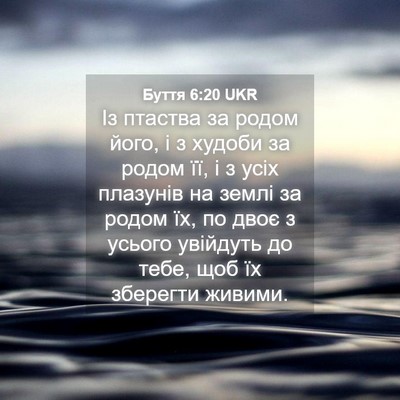Picture 04 - Буття 6:20 UKR - Із птаства за родом його, і - Bible Verse Picture