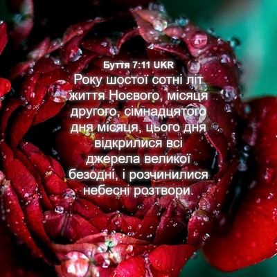 Picture 04 - Буття 7:11 UKR - Року шостої сотні літ - Bible Verse Picture
