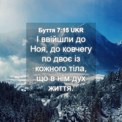 Picture 04 - Буття 7:15 UKR - І ввійшли до Ноя, до - Bible Verse Picture