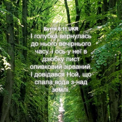 Picture 04 - Буття 8:11 UKR - І голубка вернулась до - Bible Verse Picture