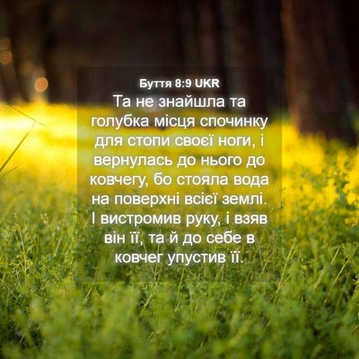 Picture 04 - Буття 8:9 UKR - Та не знайшла та голубка - Bible Verse Picture