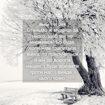 Picture 04 - Вихід 1:10 UKR - Станьмо ж мудріші за нього, - Bible Verse Picture