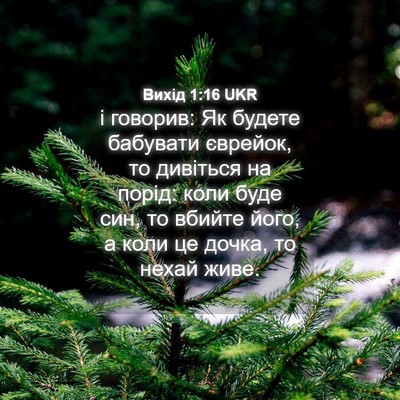 Picture 04 - Вихід 1:16 UKR - і говорив: Як будете - Bible Verse Picture
