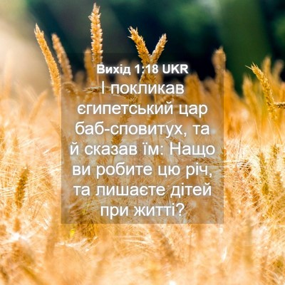 Picture 04 - Вихід 1:18 UKR - І покликав єгипетський цар - Bible Verse Picture