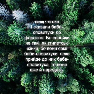 Picture 04 - Вихід 1:19 UKR - І сказали баби-сповитухи - Bible Verse Picture