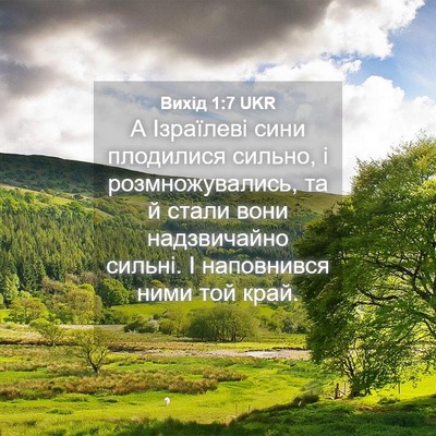 Picture 04 - Вихід 1:7 UKR - А Ізраїлеві сини плодилися - Bible Verse Picture