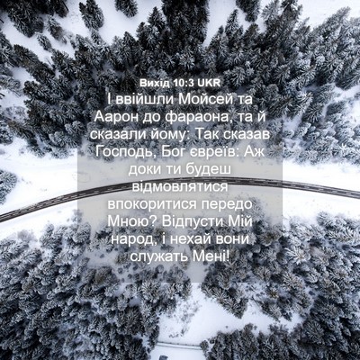 Picture 04 - Вихід 10:3 UKR - І ввійшли Мойсей та Аарон - Bible Verse Picture
