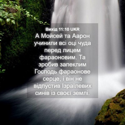 Picture 04 - Вихід 11:10 UKR - А Мойсей та Аарон учинили - Bible Verse Picture