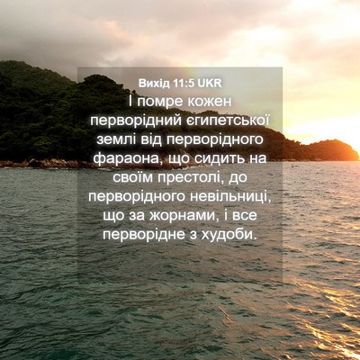 Picture 04 - Вихід 11:5 UKR - І помре кожен перворідний - Bible Verse Picture