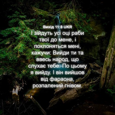 Picture 04 - Вихід 11:8 UKR - І зійдуть усі оці раби твої - Bible Verse Picture