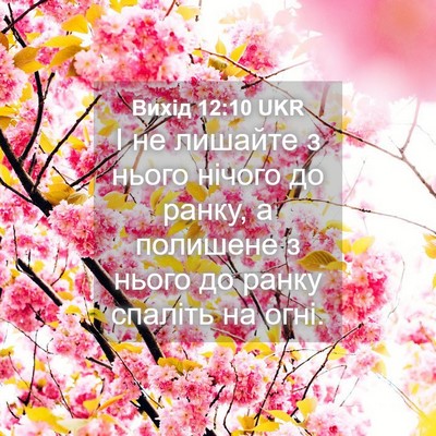 Picture 04 - Вихід 12:10 UKR - І не лишайте з нього нічого - Bible Verse Picture