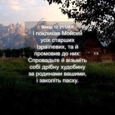 Picture 04 - Вихід 12:21 UKR - І покликав Мойсей усіх - Bible Verse Picture