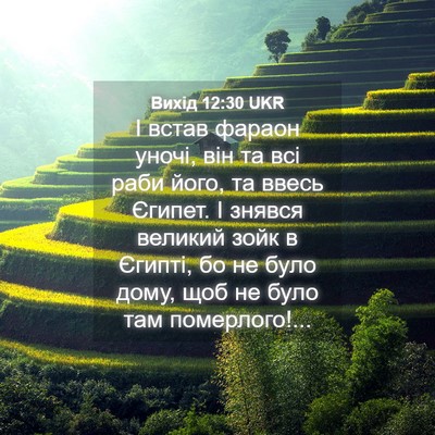 Picture 04 - Вихід 12:30 UKR - І встав фараон уночі, він - Bible Verse Picture