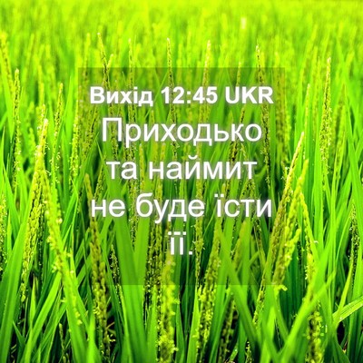 Picture 04 - Вихід 12:45 UKR - Приходько та наймит не - Bible Verse Picture