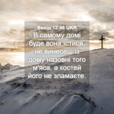 Picture 04 - Вихід 12:46 UKR - В самому домі буде вона - Bible Verse Picture