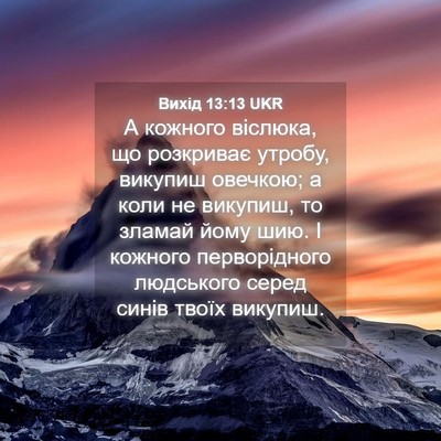 Picture 04 - Вихід 13:13 UKR - А кожного віслюка, що - Bible Verse Picture