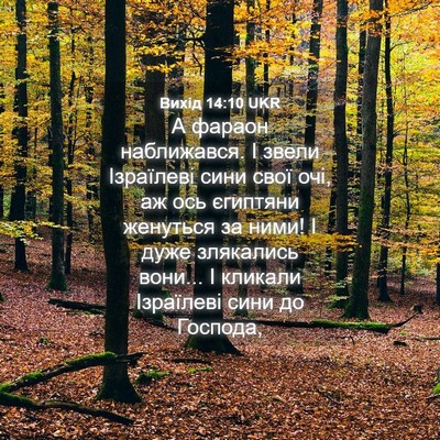 Picture 04 - Вихід 14:10 UKR - А фараон наближався. І - Bible Verse Picture
