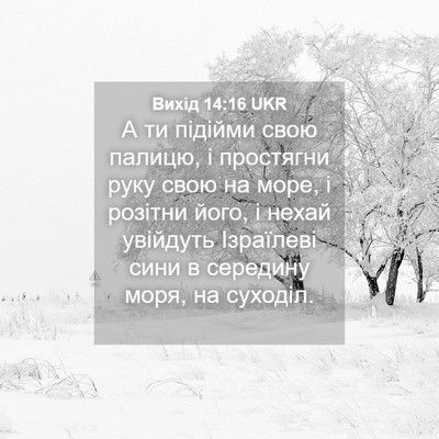 Picture 04 - Вихід 14:16 UKR - А ти підійми свою палицю, і - Bible Verse Picture