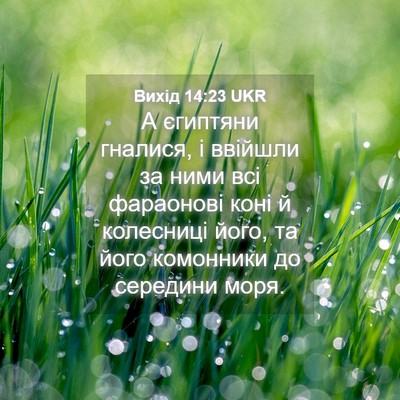 Picture 04 - Вихід 14:23 UKR - А єгиптяни гналися, і - Bible Verse Picture