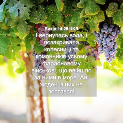 Picture 04 - Вихід 14:28 UKR - І вернулась вода, і - Bible Verse Picture
