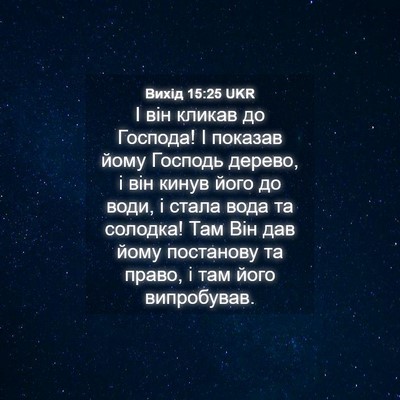 Picture 04 - Вихід 15:25 UKR - І він кликав до Господа! І - Bible Verse Picture