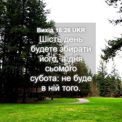 Picture 04 - Вихід 16:26 UKR - Шість день будете збирати - Bible Verse Picture