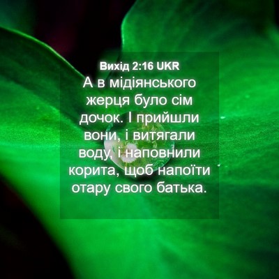 Picture 04 - Вихід 2:16 UKR - А в мідіянського жерця - Bible Verse Picture