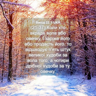 Picture 04 - Вихід 22:1 UKR - (21-37) Коли хто вкраде вола - Bible Verse Picture