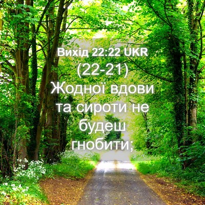 Picture 04 - Вихід 22:22 UKR - (22-21) Жодної вдови та сироти - Bible Verse Picture