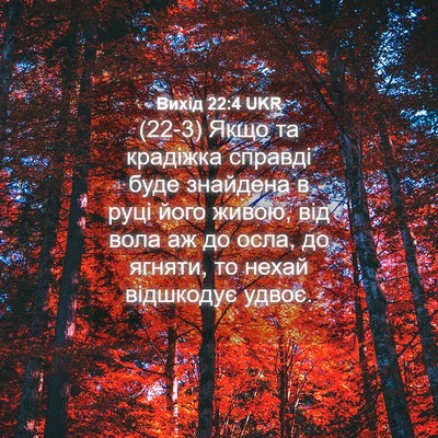 Picture 04 - Вихід 22:4 UKR - (22-3) Якщо та крадіжка - Bible Verse Picture