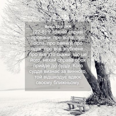 Picture 04 - Вихід 22:9 UKR - (22-8) У кожній справі - Bible Verse Picture