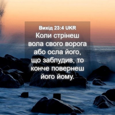Picture 04 - Вихід 23:4 UKR - Коли стрінеш вола свого - Bible Verse Picture