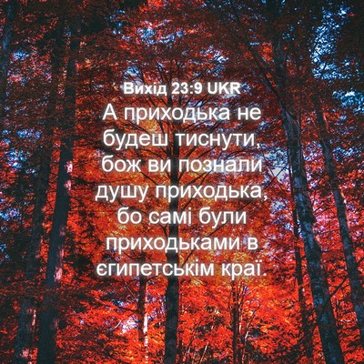 Picture 04 - Вихід 23:9 UKR - А приходька не будеш - Bible Verse Picture