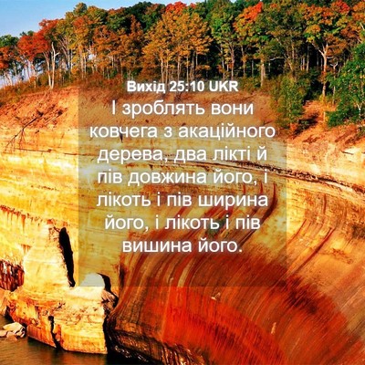 Picture 04 - Вихід 25:10 UKR - І зроблять вони ковчега з - Bible Verse Picture