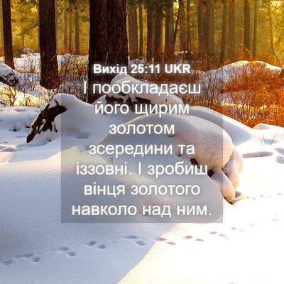 Picture 04 - Вихід 25:11 UKR - І пообкладаєш його щирим - Bible Verse Picture