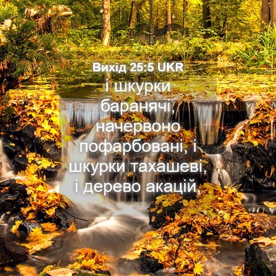 Picture 04 - Вихід 25:5 UKR - і шкурки баранячі, - Bible Verse Picture