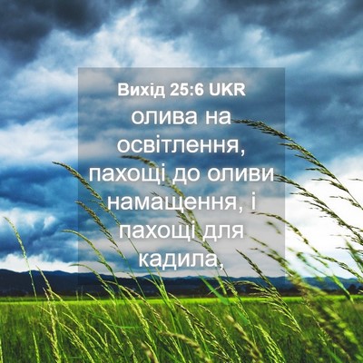 Picture 04 - Вихід 25:6 UKR - олива на освітлення, - Bible Verse Picture