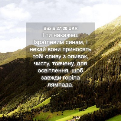 Picture 04 - Вихід 27:20 UKR - І ти накажеш Ізраїлевим - Bible Verse Picture