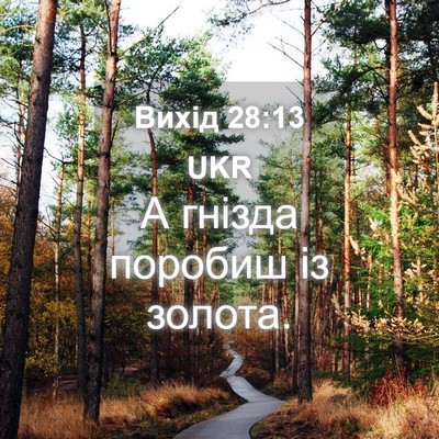 Picture 04 - Вихід 28:13 UKR - А гнізда поробиш із - Bible Verse Picture