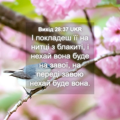 Picture 04 - Вихід 28:37 UKR - І покладеш її на нитці з - Bible Verse Picture