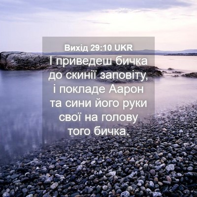 Picture 04 - Вихід 29:10 UKR - І приведеш бичка до скинії - Bible Verse Picture
