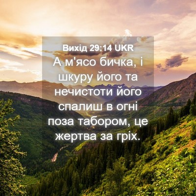Picture 04 - Вихід 29:14 UKR - А м'ясо бичка, і шкуру його - Bible Verse Picture