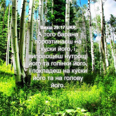 Picture 04 - Вихід 29:17 UKR - А того барана порозтинаєш - Bible Verse Picture