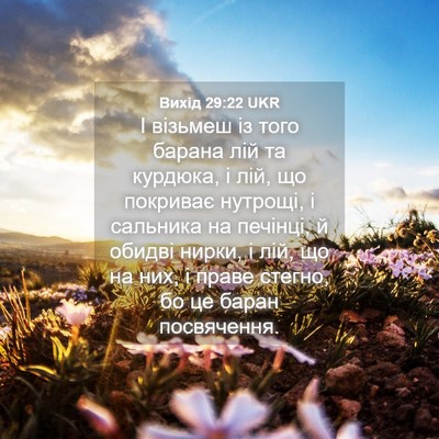 Picture 04 - Вихід 29:22 UKR - І візьмеш із того барана - Bible Verse Picture